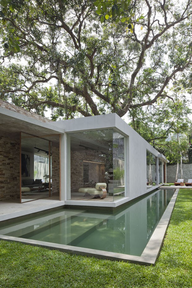 Projetos de arquitetura inusitada com árvore dentro de casa